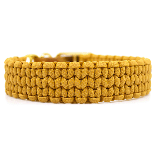 Paracordhalsband BACK ROAD JOURNEY