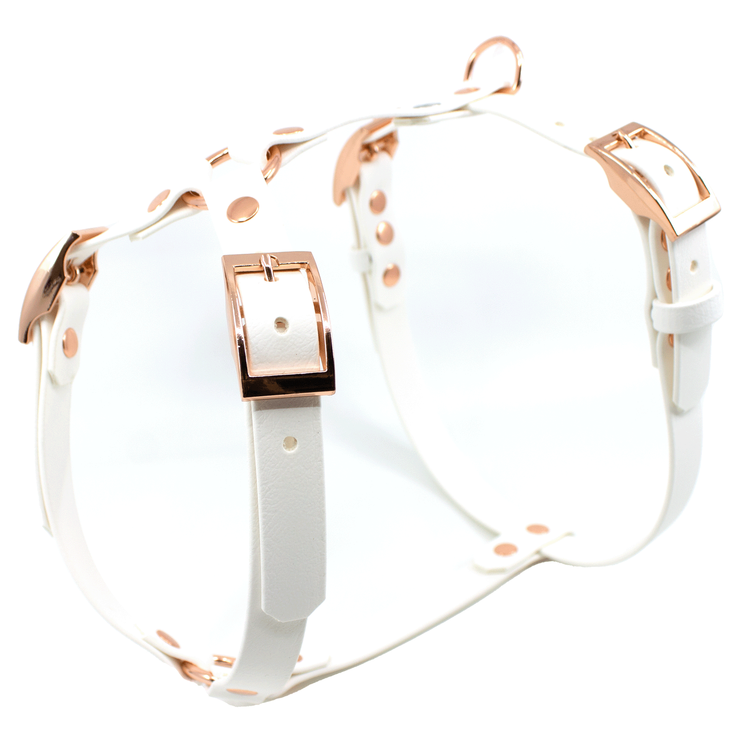 Biothane® Geschirr für Französische Bulldogge