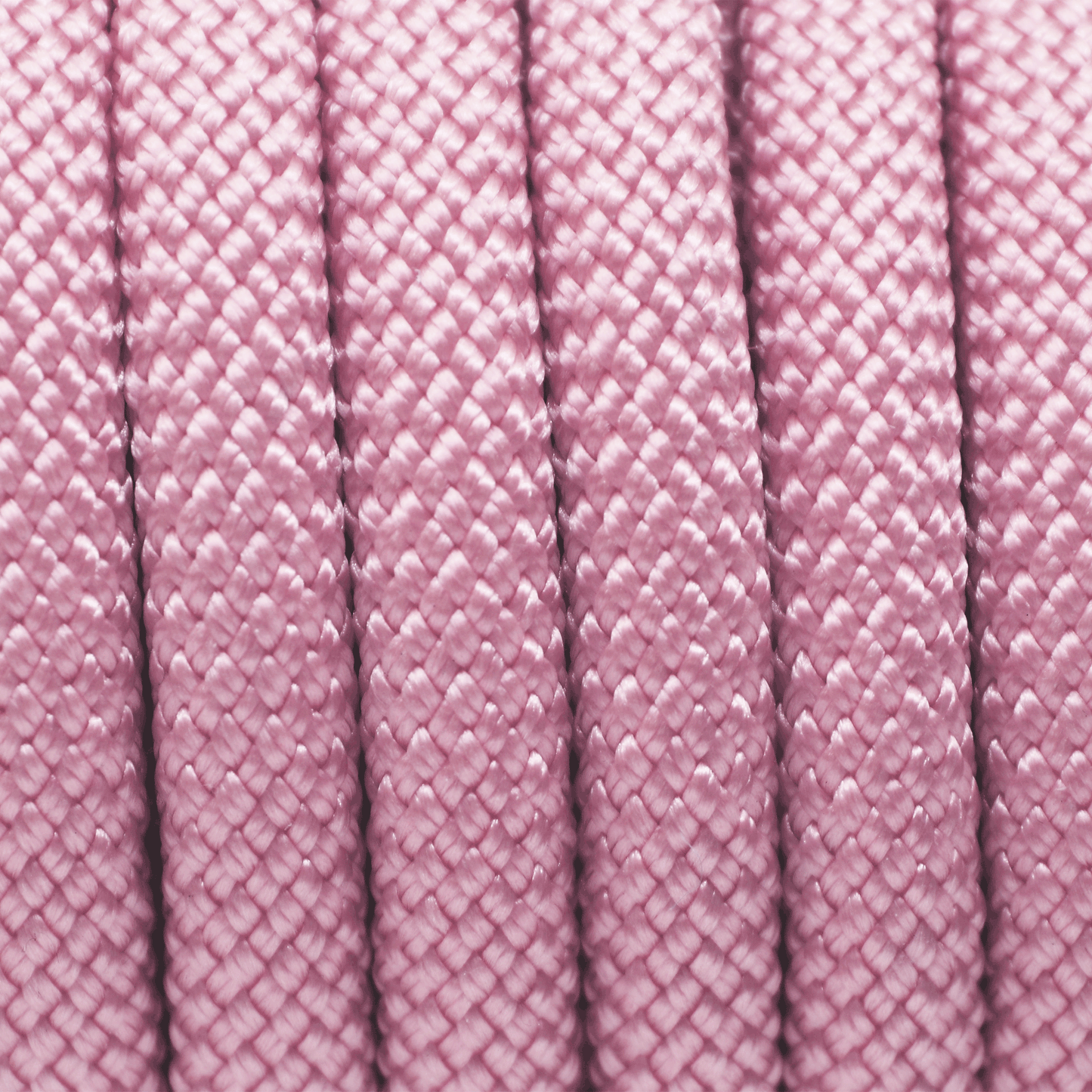 PACO & FAY Hundeleine Seil (Tau) 10mm Nylon LAVENDER ROSA