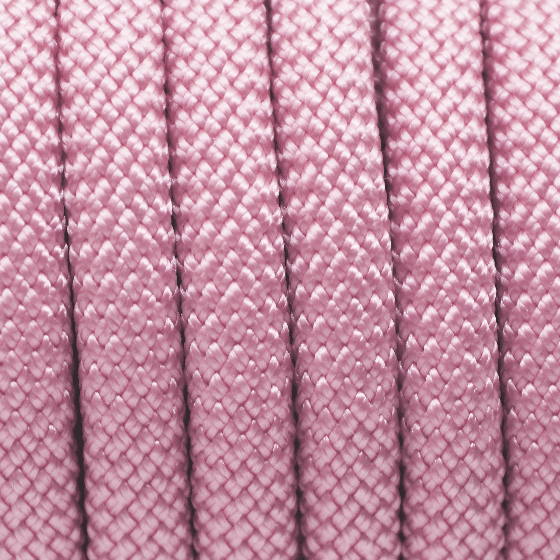PACO & FAY Hundeleine Seil (Tau) 10mm Nylon LAVENDER ROSA