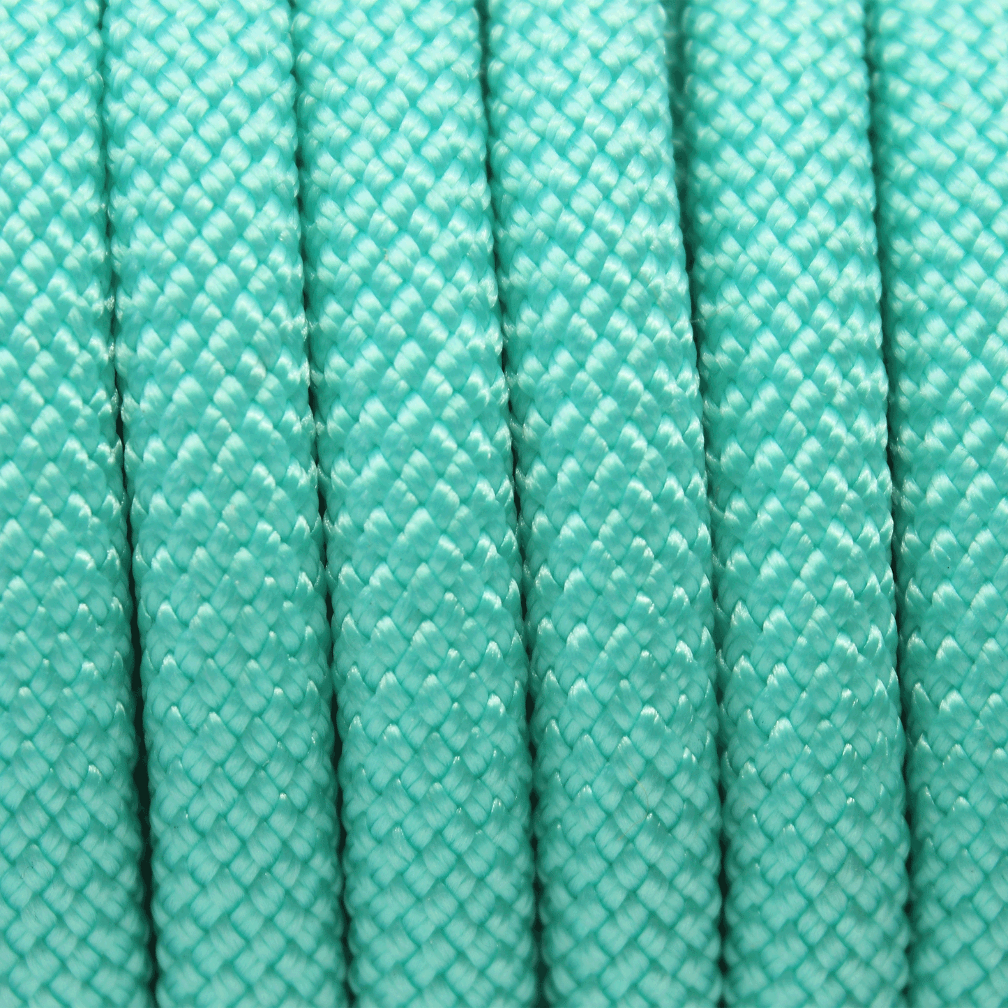 PACO & FAY Hundeleine Seil (Tau) 10mm Nylon TURQUOISE