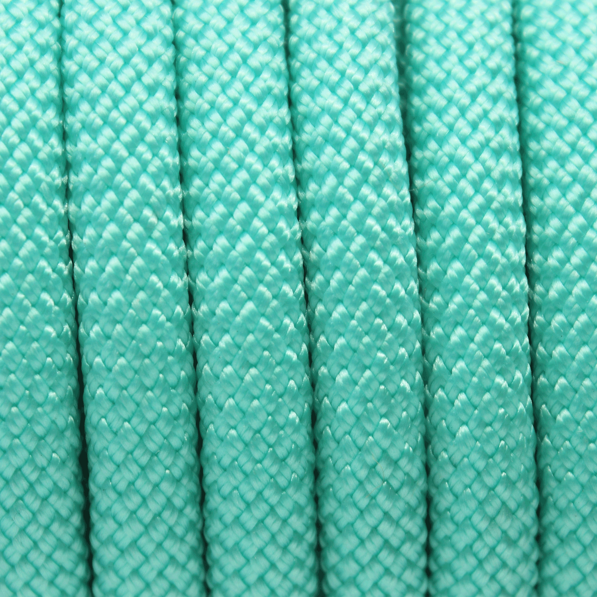 PACO & FAY Hundeleine Seil (Tau) 10mm Nylon TURQUOISE