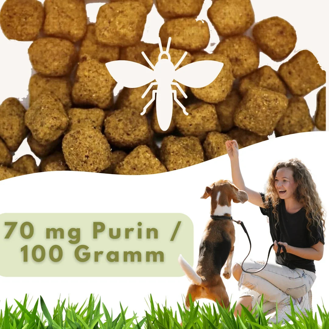 MyPetClub Insekten Purinarm