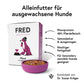 Fred & Felia Pferd mit Süßkartoffeln Nassfutter für Hunde