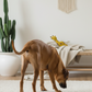 BUDDY. Hundespielzeug aus Leder "Giraffe"