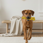 BUDDY. Hundespielzeug aus Leder "Giraffe"