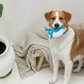 BUDDY. Hundespielzeug aus Leder "Wal"
