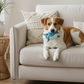 BUDDY. Hundespielzeug aus Leder "Wal"