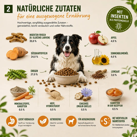 MyPetClub Insekten