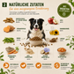 MyPetClub Insekten
