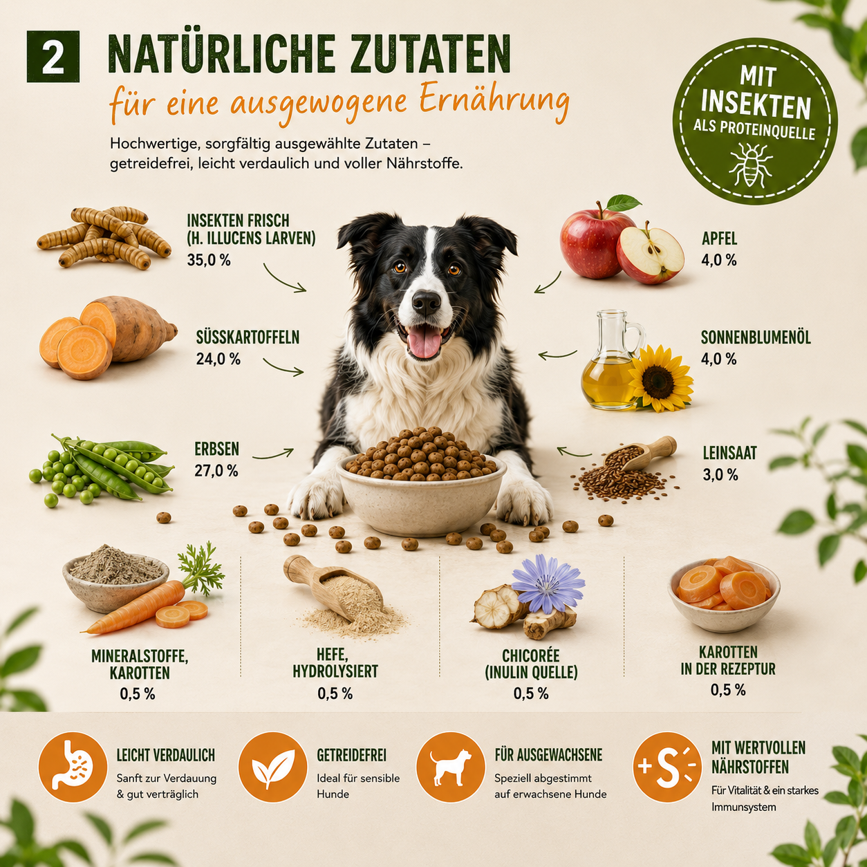 MyPetClub Insekten