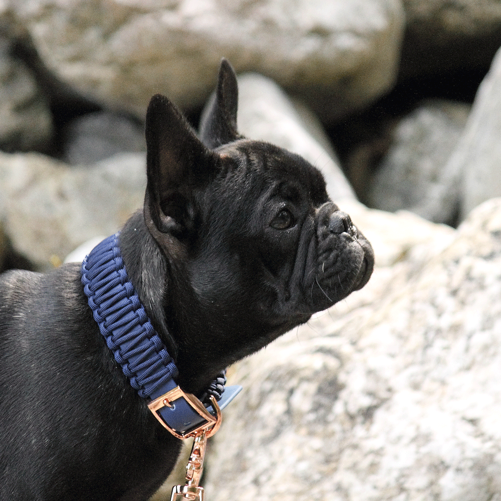 Individuelles Halsband SKY