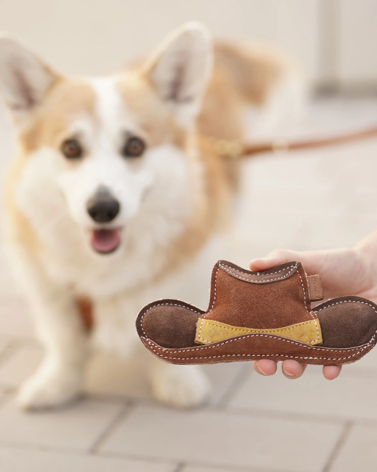 BUDDY. Hundespielzeug aus Leder "Cowboyhut"