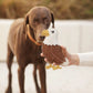 BUDDY. Hundespielzeug aus Leder "Adler"