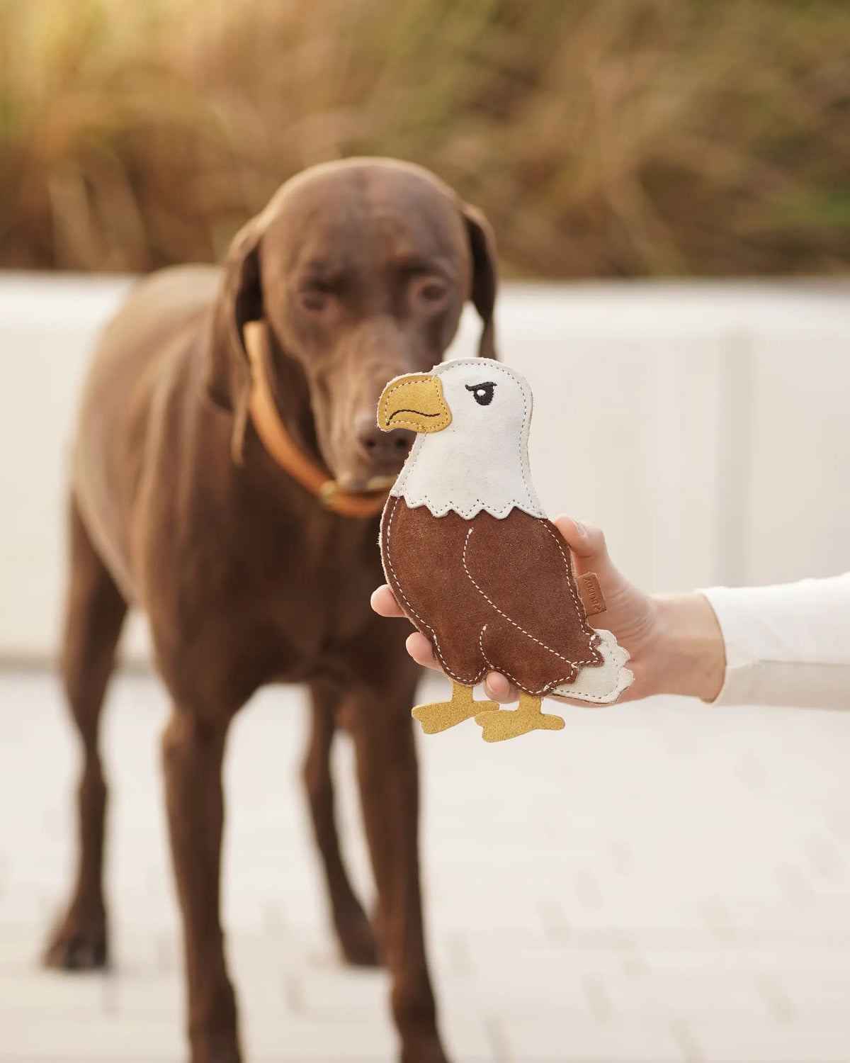 BUDDY. Hundespielzeug aus Leder "Adler"