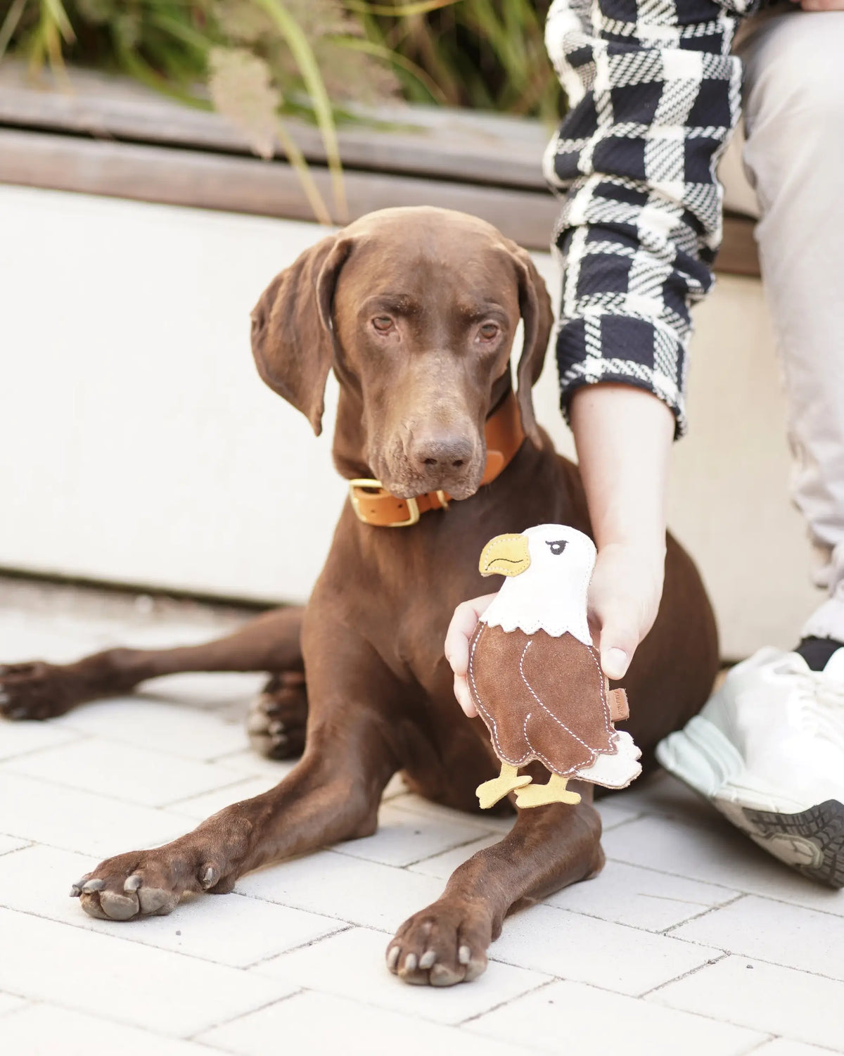 BUDDY. Hundespielzeug aus Leder "Adler"