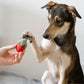 BUDDY. Hundespielzeug aus Wollfilz "Erdbeere"