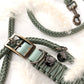 Set Halsband & Leine (HU 38-44cm)