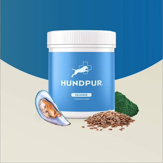 Hundpur® Gelenke mit Grünlippmuschel