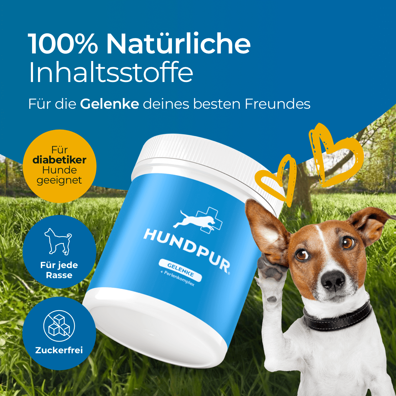 Hundpur® Gelenke mit Grünlippmuschel