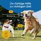 Hundpur® Gelenke mit Grünlippmuschel