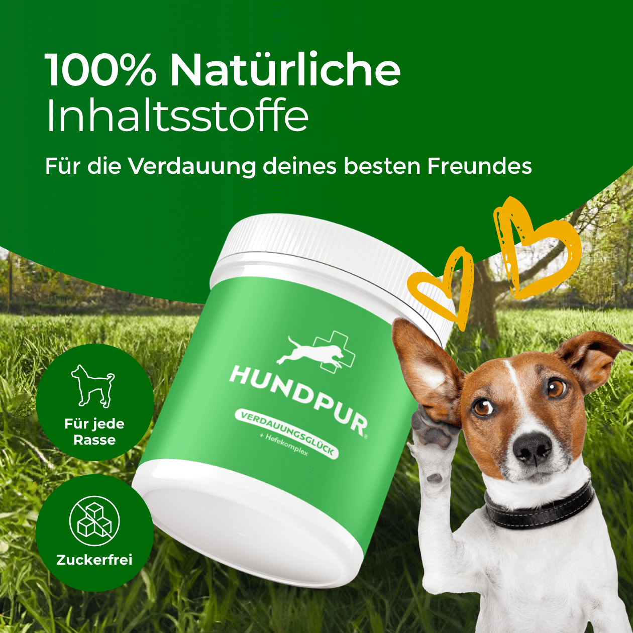 Hundpur® Verdauungsglück mit Probiotika