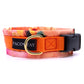 Gepolstertes Hundehalsband im Muster Kolibri und Gurtband in orange
