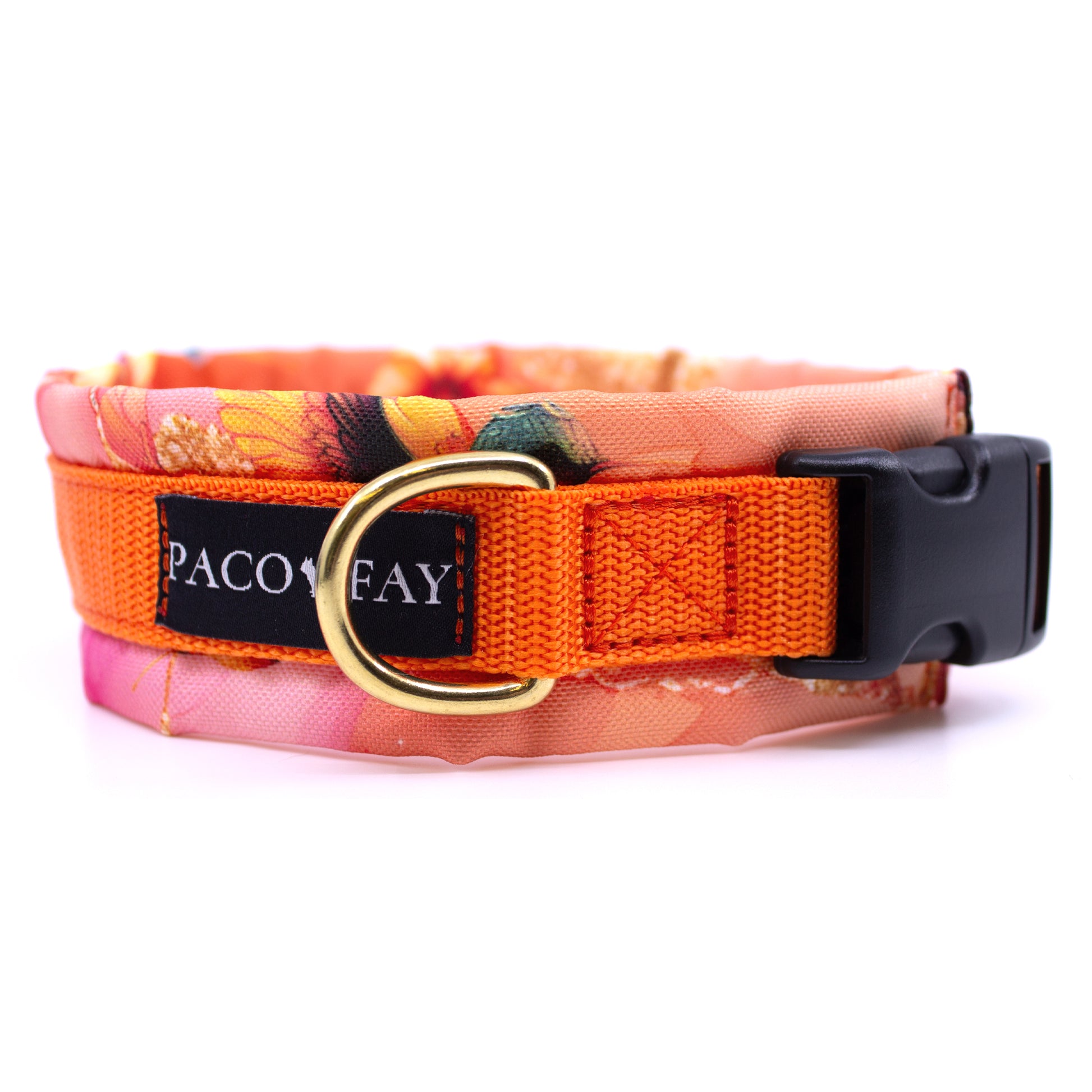 Gepolstertes Hundehalsband im Muster Kolibri und Gurtband in orange