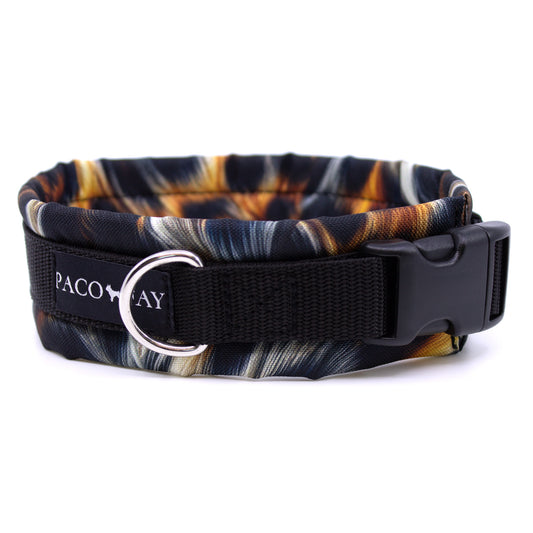 Hundehalsband gepolstert mit schwarzem Gurtband