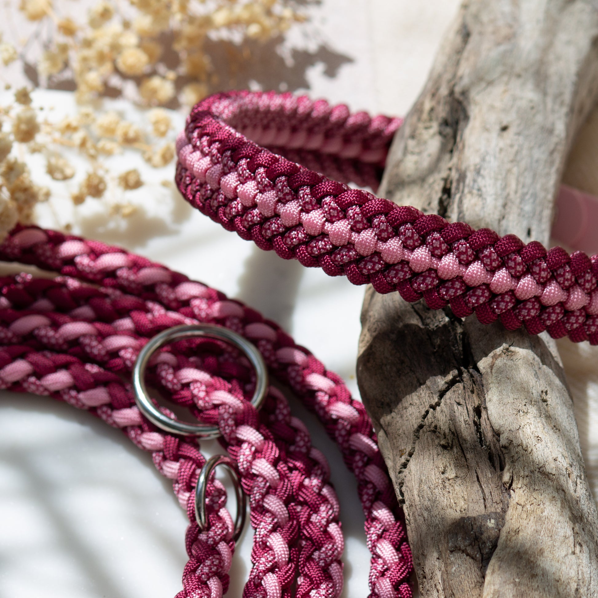 Halsband und Leine aus Paracord in rosa und weinrot