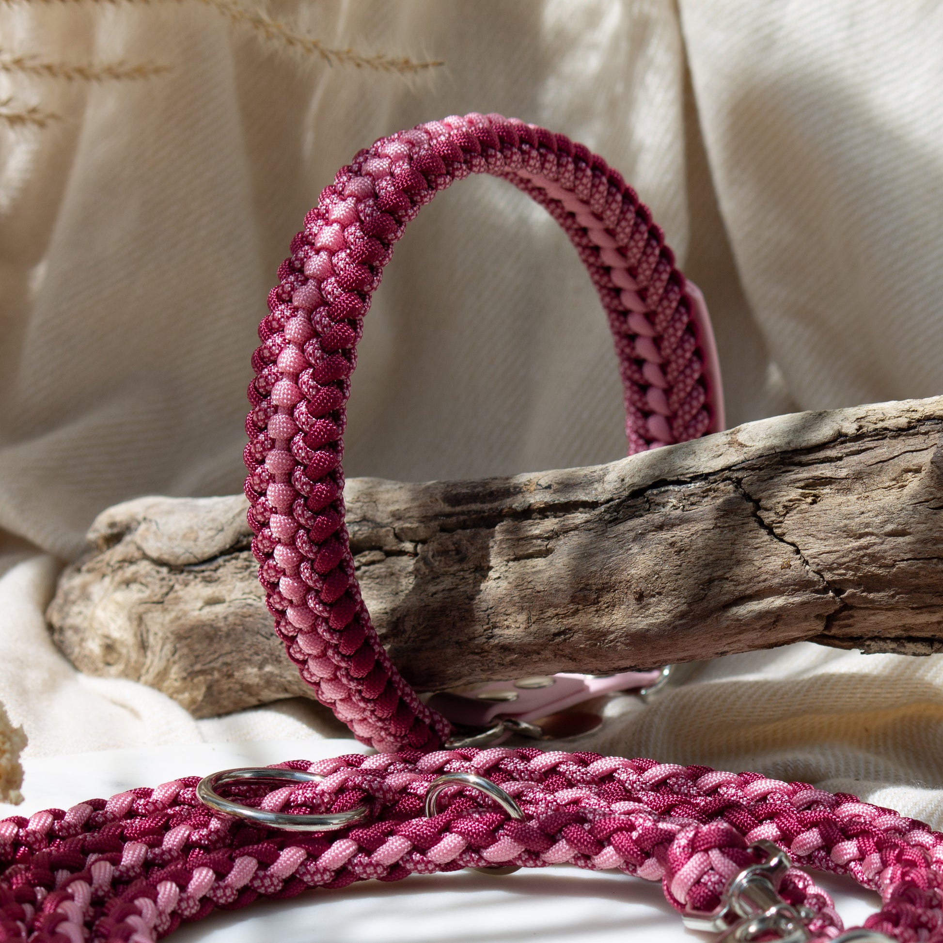 Paracord Halsband COVENANT und Leine GAUCHO