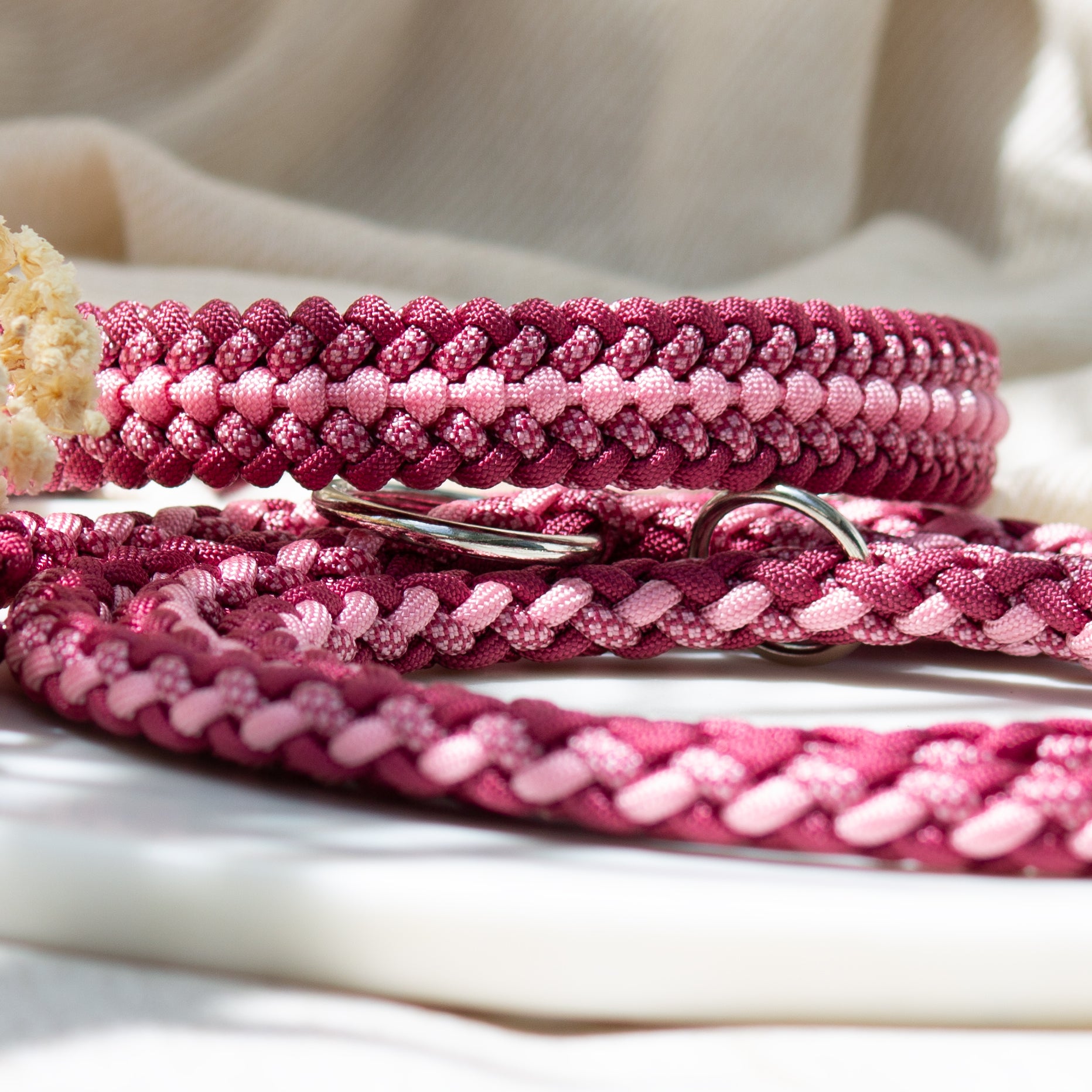 Paracord Halsband und Leine für Hunde in rosatönen