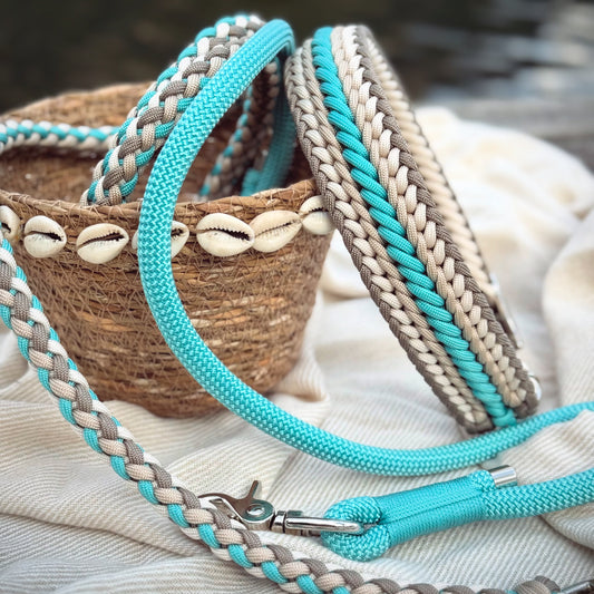 Set Halsband & Leine (HU 43-49cm)