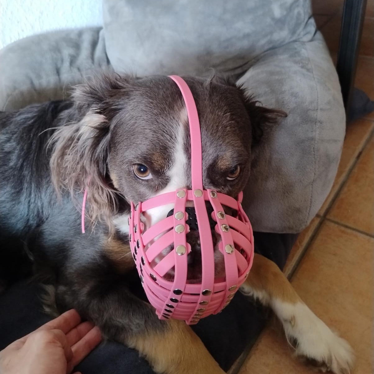 Maulkorb Mischling BioThane in rosa