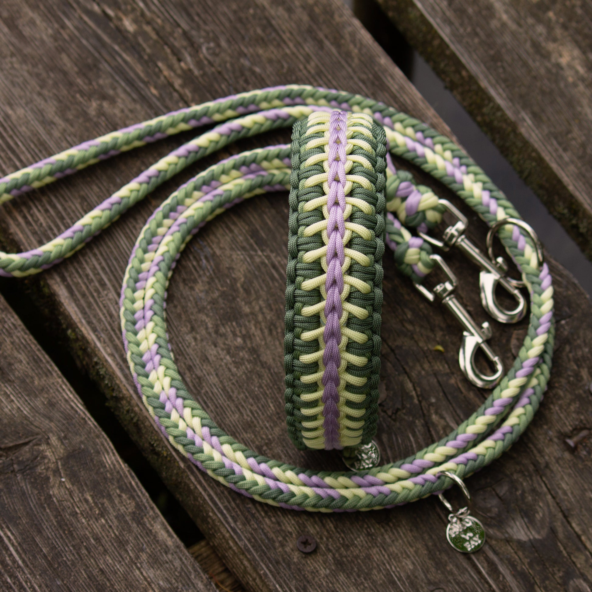 Halsband und Huneleine aus Paracord farblich abgestimmt