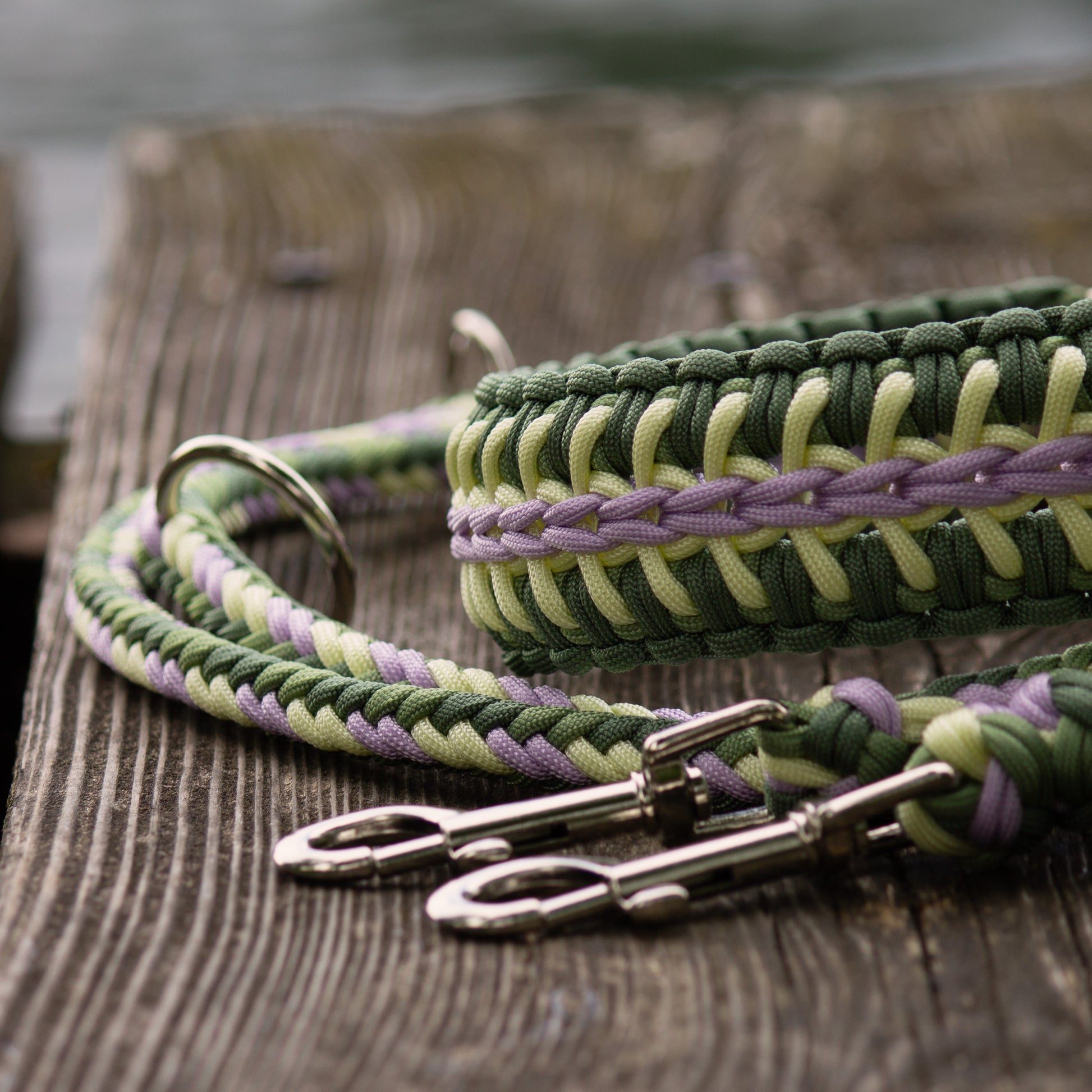 Halsband und Leine für mittelgroße Hunde