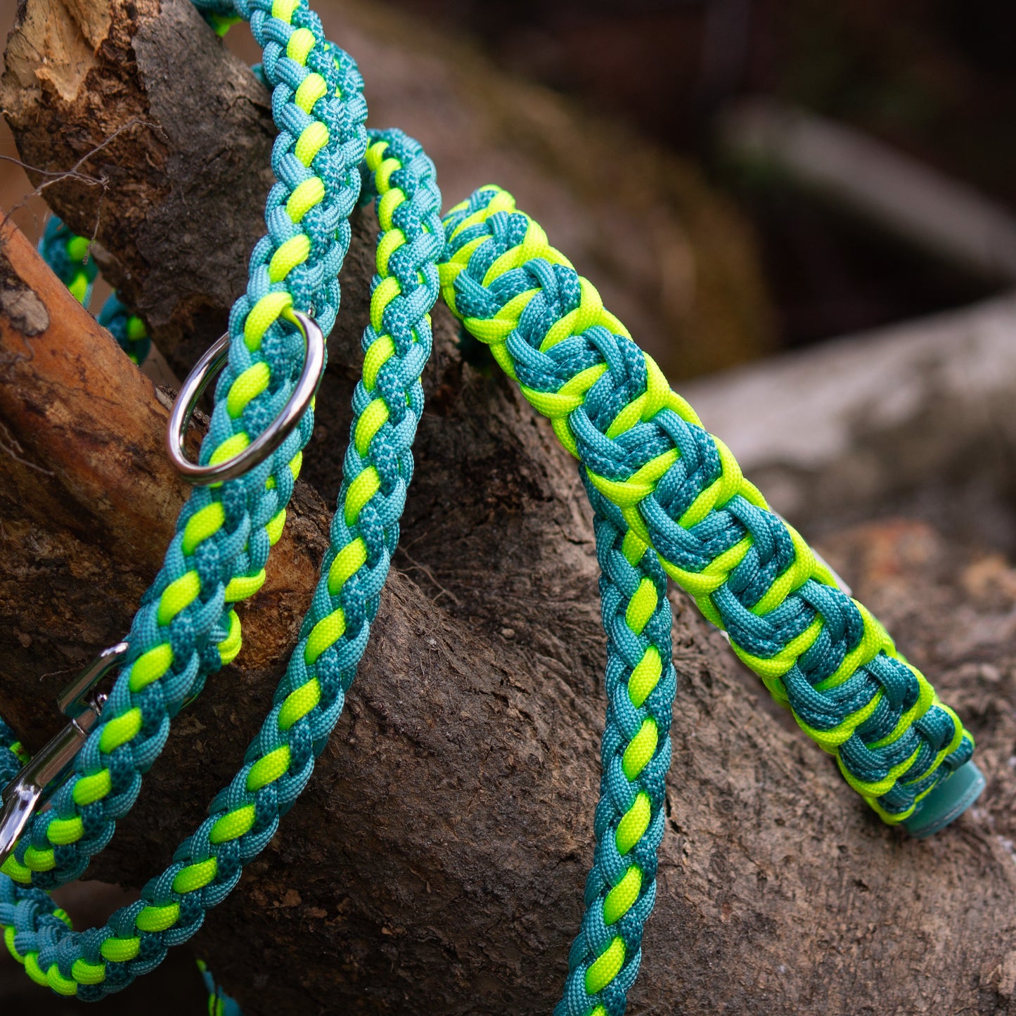 Hundehalsband und Hundeleine aus Paracord