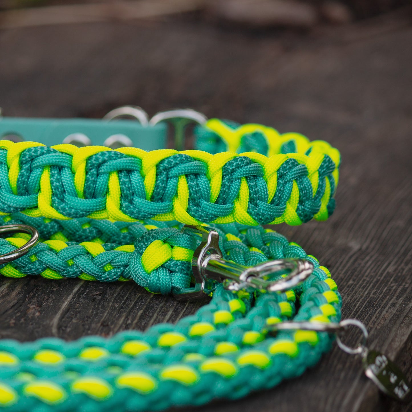 Halsband und Leine aus Paracord in knalligen Farben
