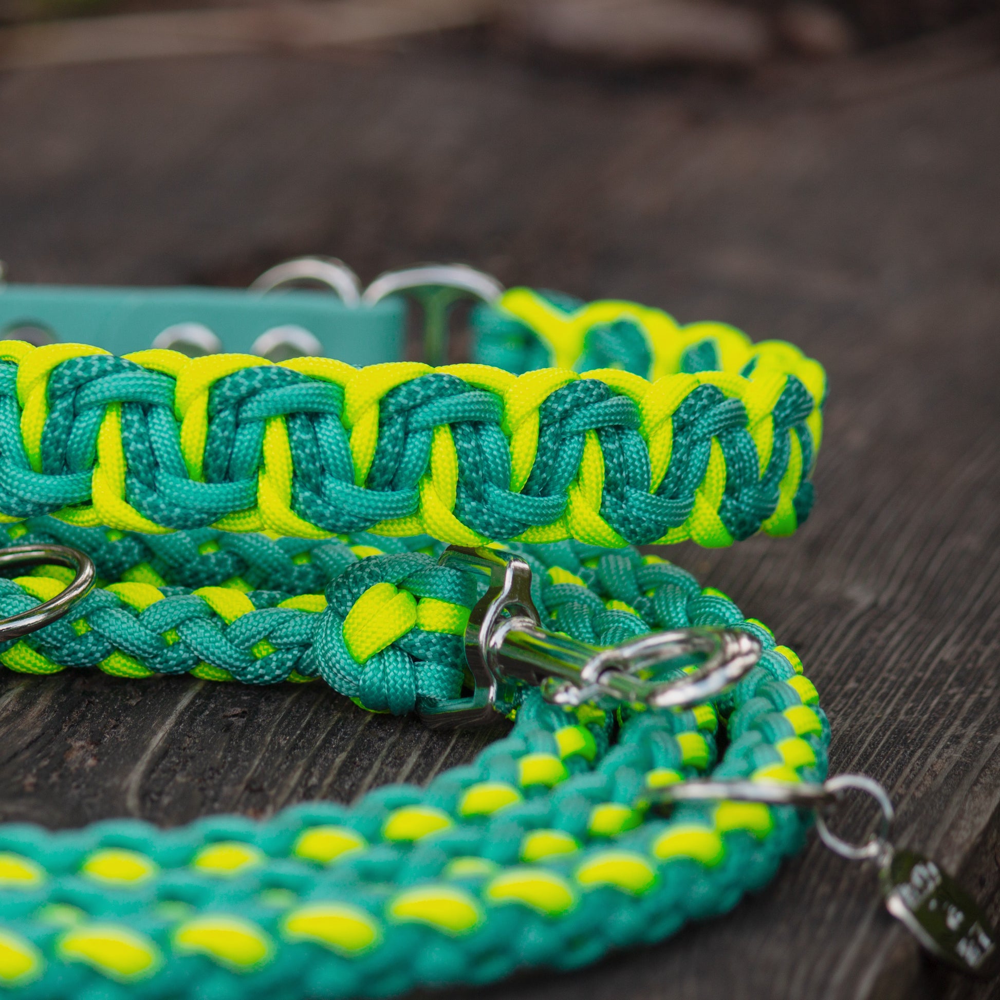 Halsband und Leine aus Paracord in knalligen Farben