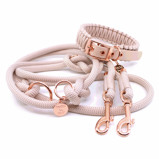 Set Halsband & Leine (HU 34-40cm)