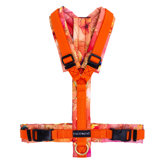 Gepolstertes Hundegeschirr Y-Form im Muster Kolibri mit Gurtband in Orange
