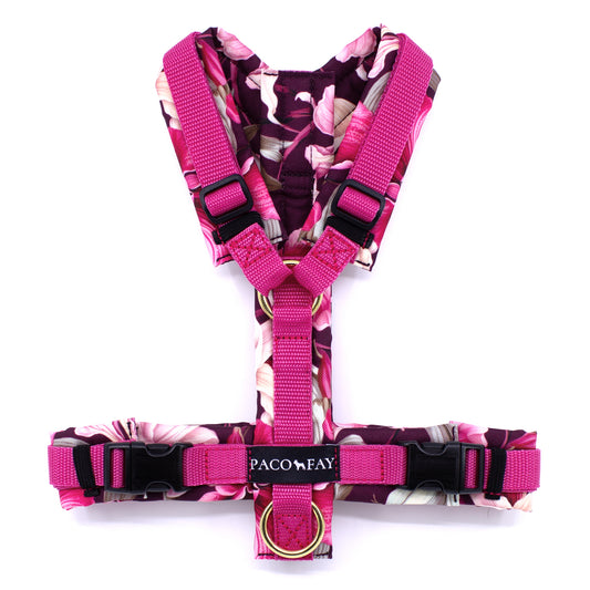 Gepolstertes Y-Geschirr in Größe S, EXOTIC ORCHIDS mit Gurtband in der Farbe Himbeere