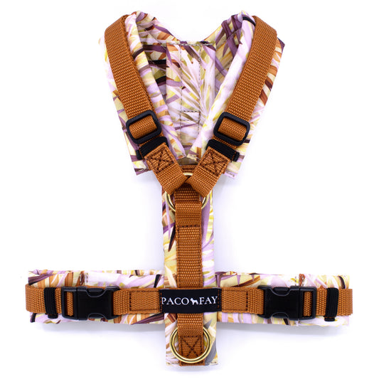 Gepolstertes Y-Geschirr für Hunde mit rostbraun