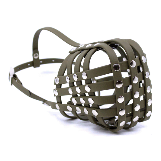 Australian Shepherd Maulkorb aus BioThane in olive