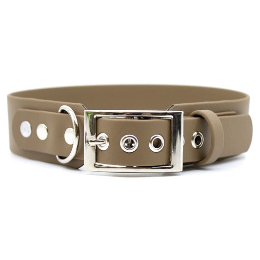 BioThane Halsband mit silbernen Beschlägen