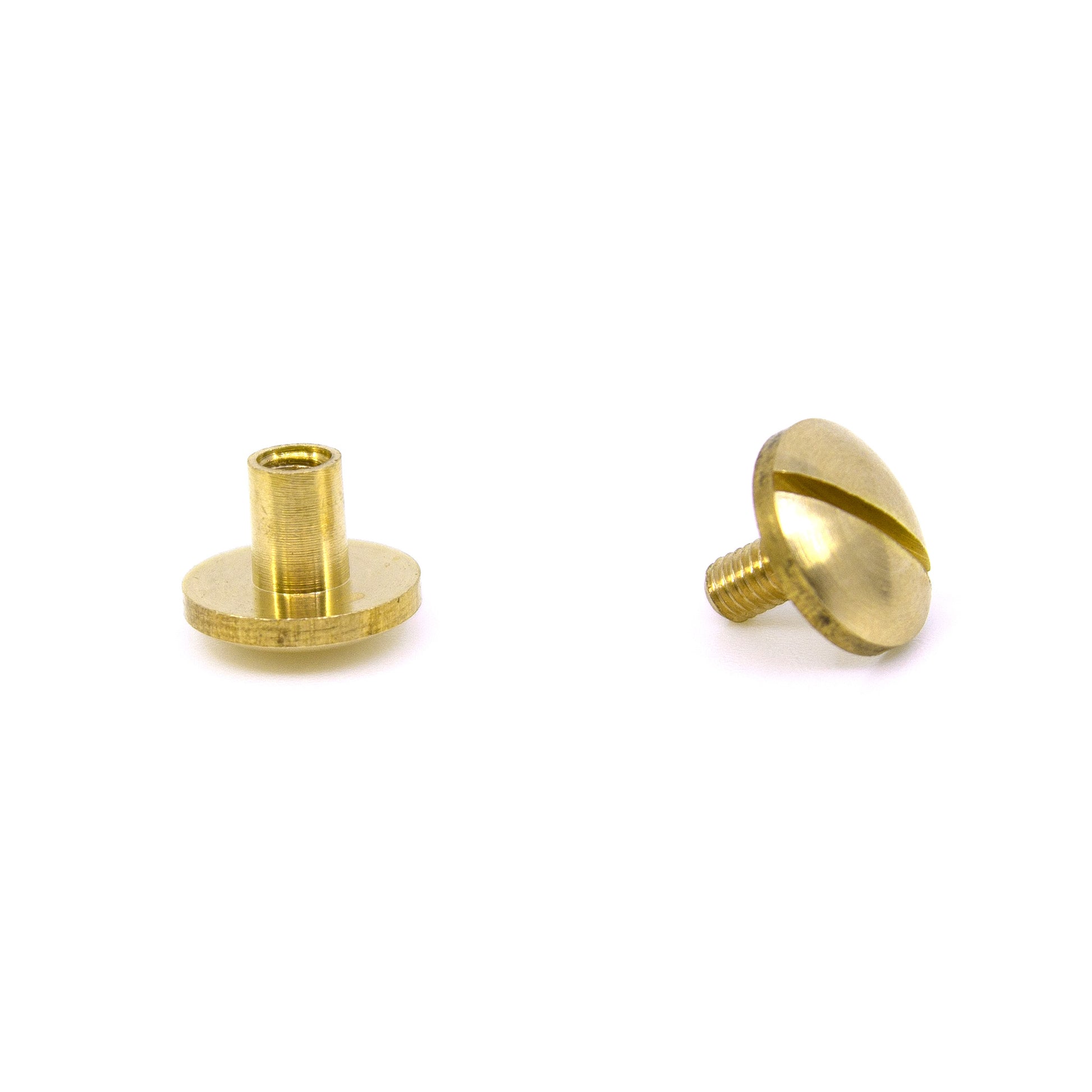 Massive Buchschraube aus Messing (10x6mm) als goldene Chicago Screw Schraubniete für DIY Hundeleinen von PACO and FAY