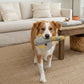 BUDDY. Hundespielzeug aus Leder "Große Ente"