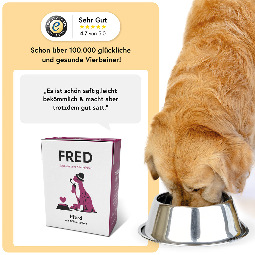 Fred & Felia Pferd mit Süßkartoffeln Nassfutter für Hunde