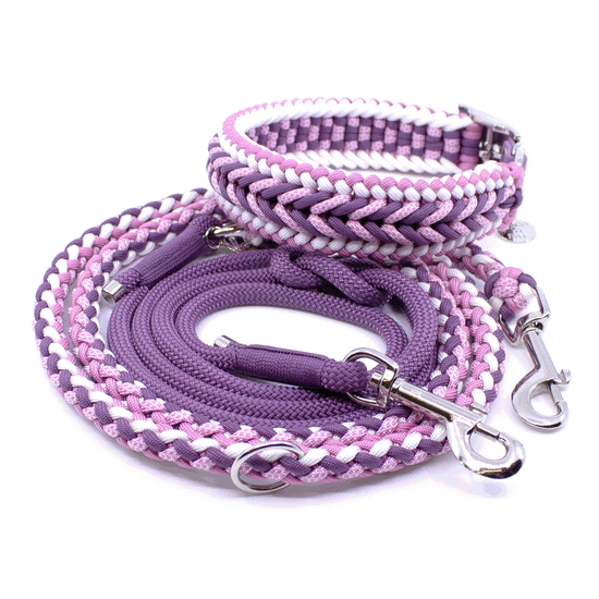 Halsband und Leine in lila und rosa