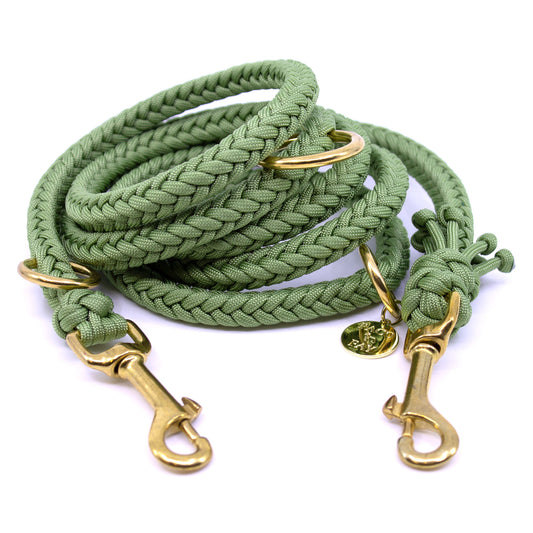 Paracord Hundeleine KAIRO in Holy Guacamole